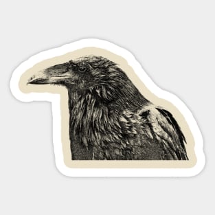 Crow Sticker